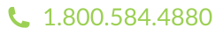 Big Picture Loans Phone Number