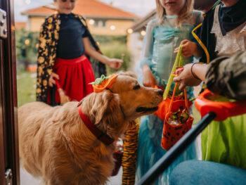 Have a Happy Halloween Without Scaring Your Budget